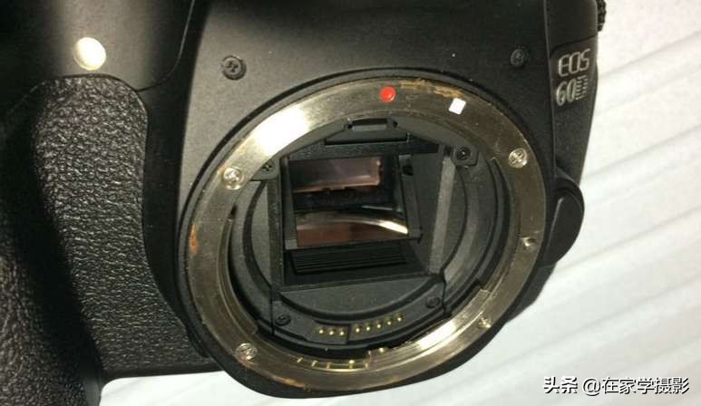 相机放久了会受潮,相机放久了会掉漆吗