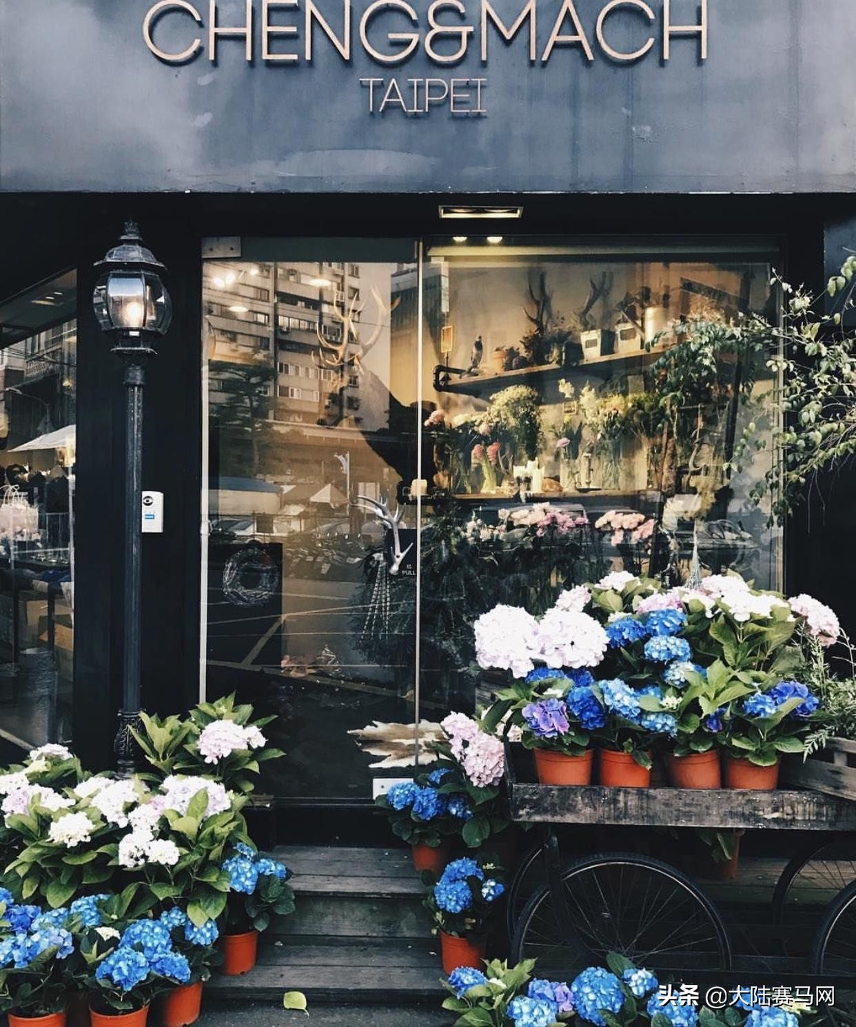 最帅马术王子,马术帅男