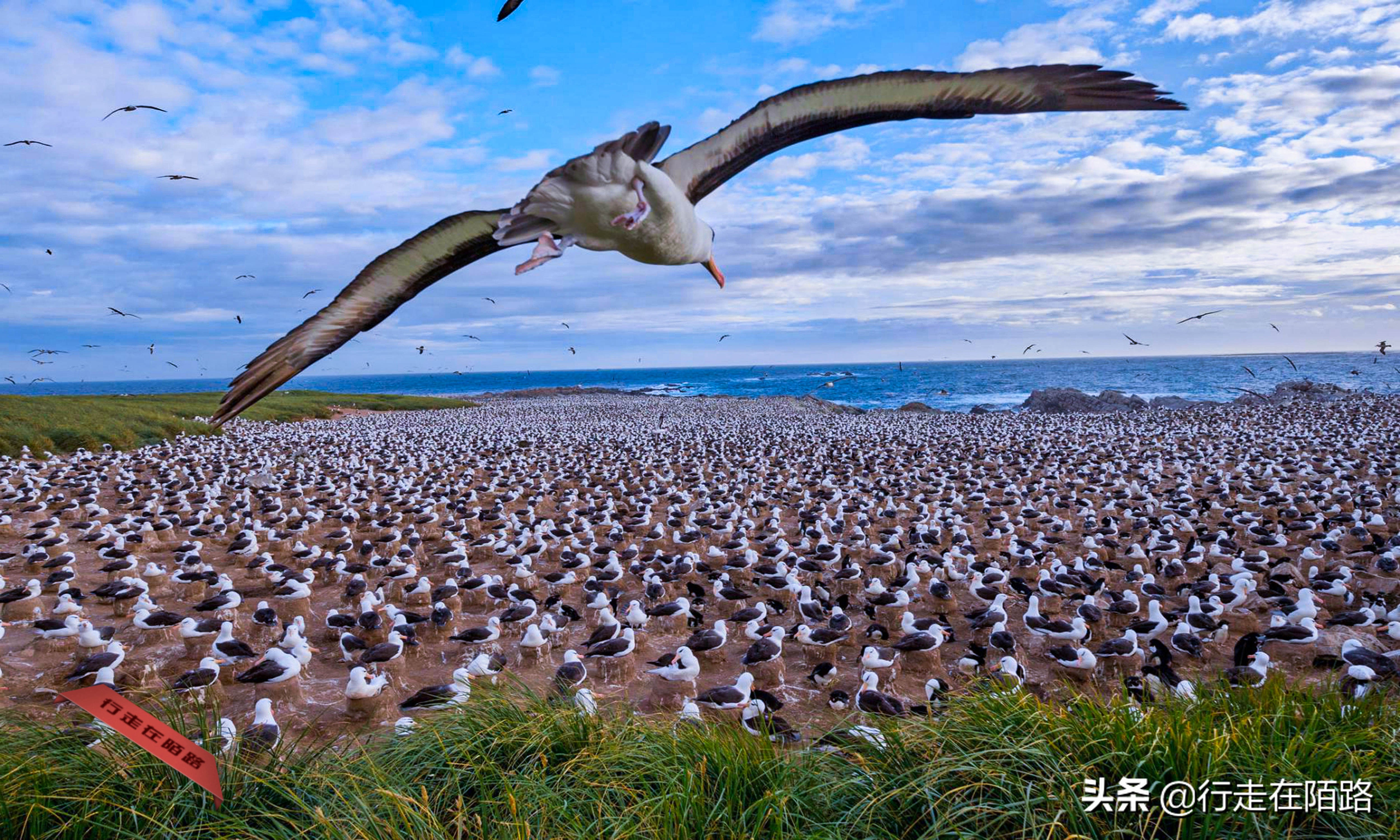 赔本战争：44艘战舰奔袭1.3万公里，耗资12亿却不是赢家