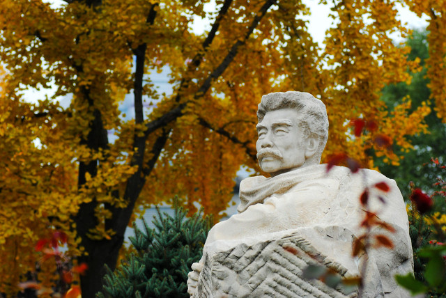 鲁迅的一生经历200字,鲁迅的一生视频介绍