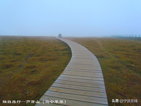 宁武芦芽山悬崖栈道,太原出发芦芽山马仑草原自驾路线