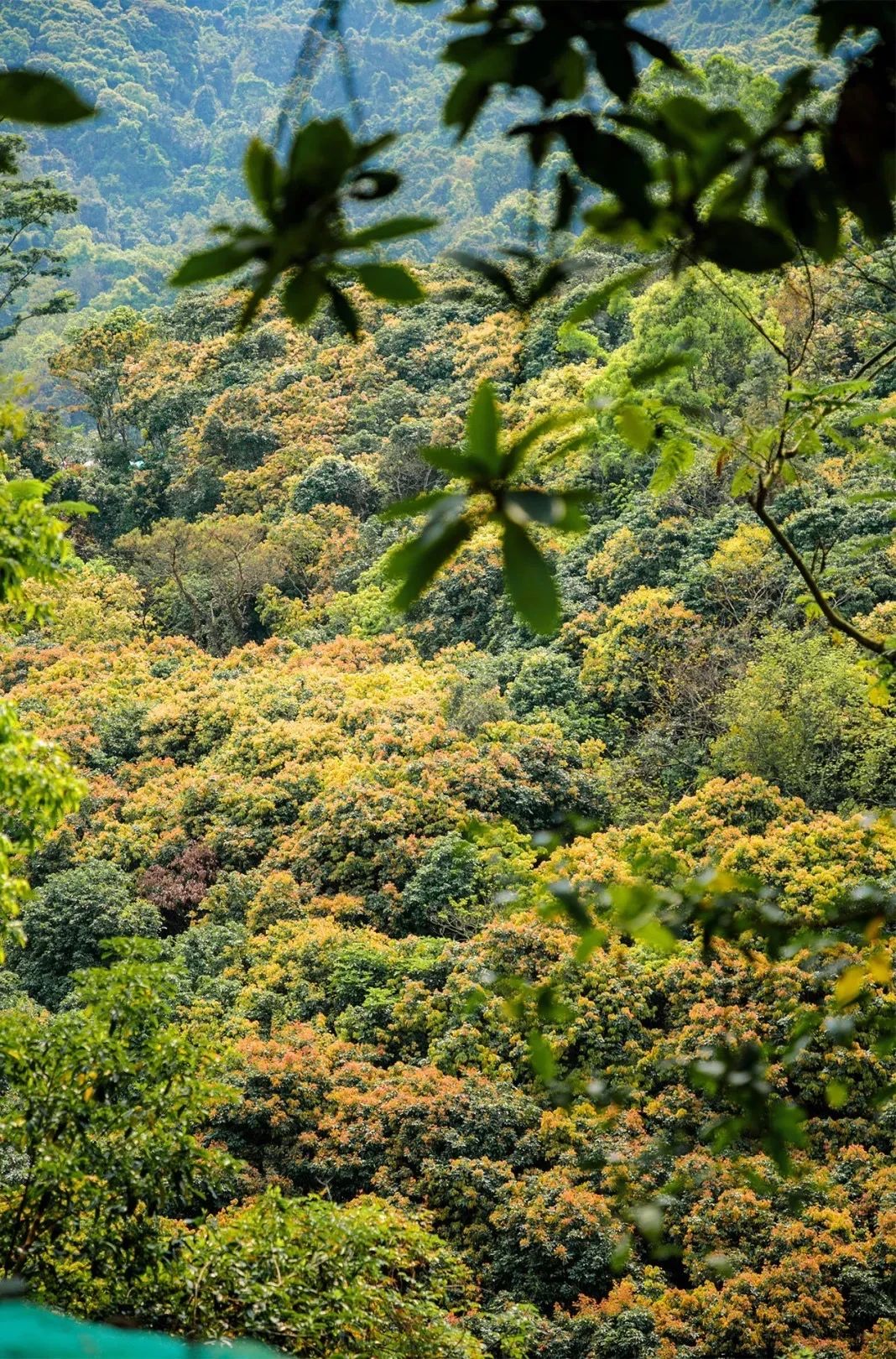 深圳14号线地铁站最值得打卡景点,深圳地铁11号线打卡景点