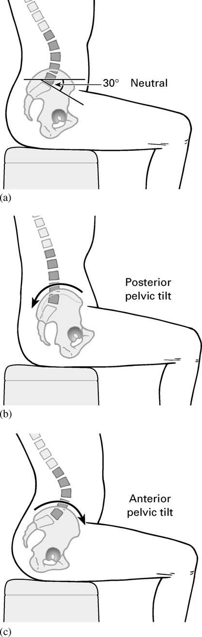 普拉提动力链,普拉提动力动作