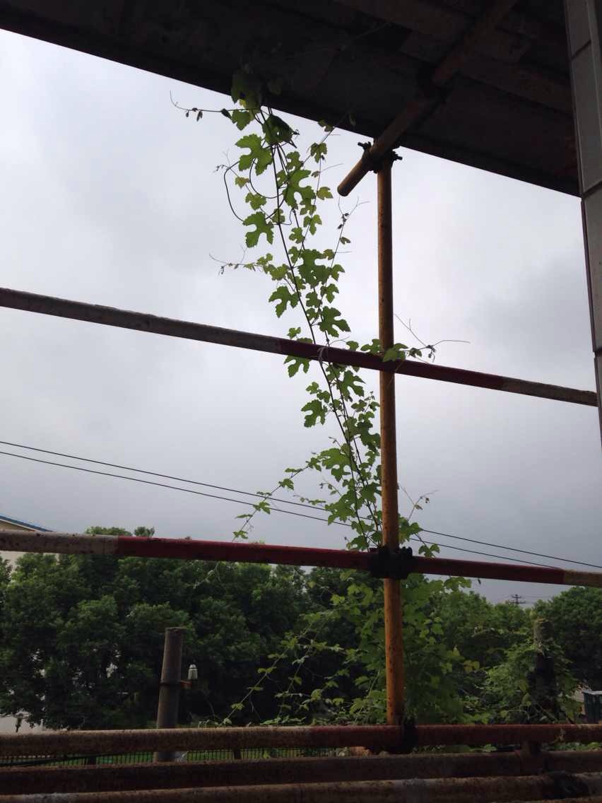 在抗失眠的战场上，我一路高歌凯旋而归！