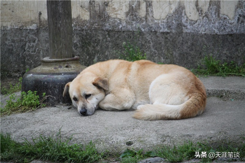 走进查济,查济古镇门票32元