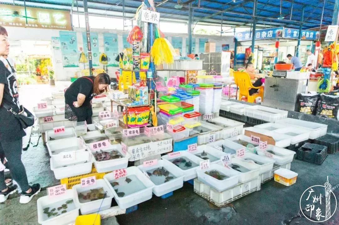 想当年，我在芳村区长大