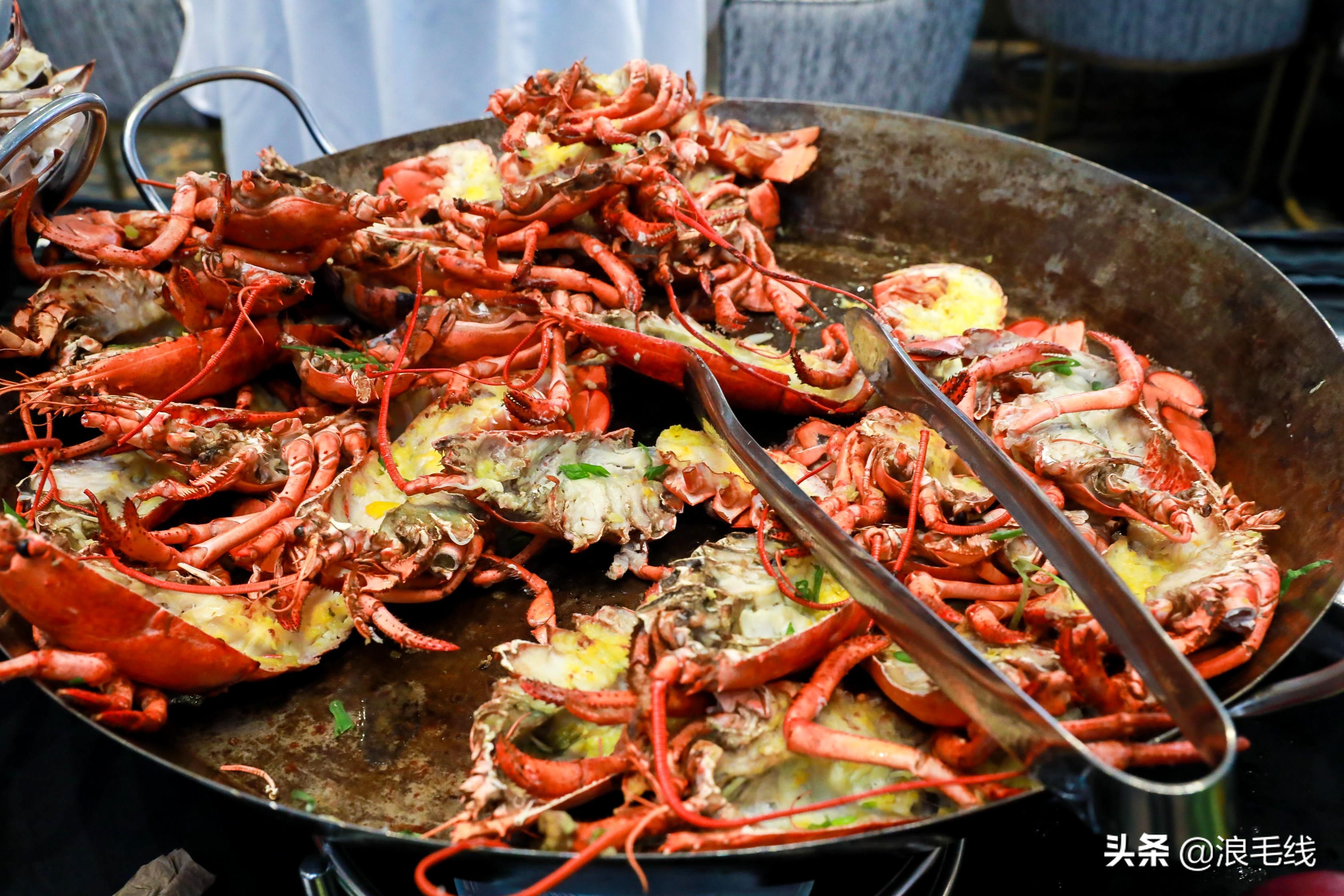 8天7夜,带着老头子游轮上岸行是种什么体验?