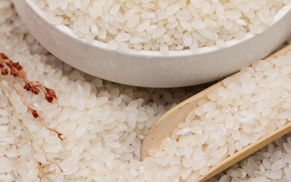 这是一篇关于寿司米的故事