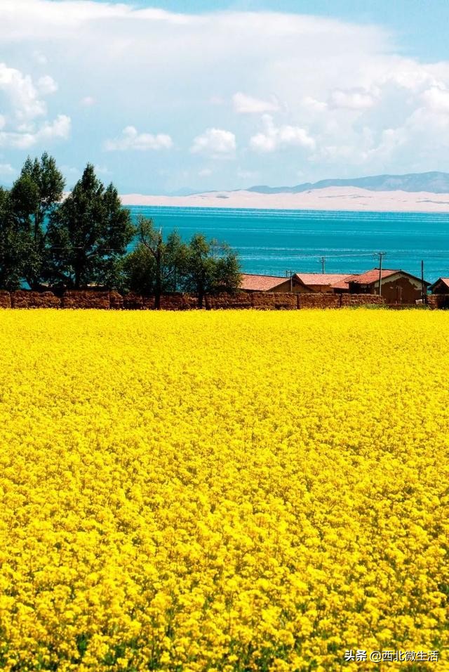 青海到底是哪里的,青海到底是一个怎样的地方