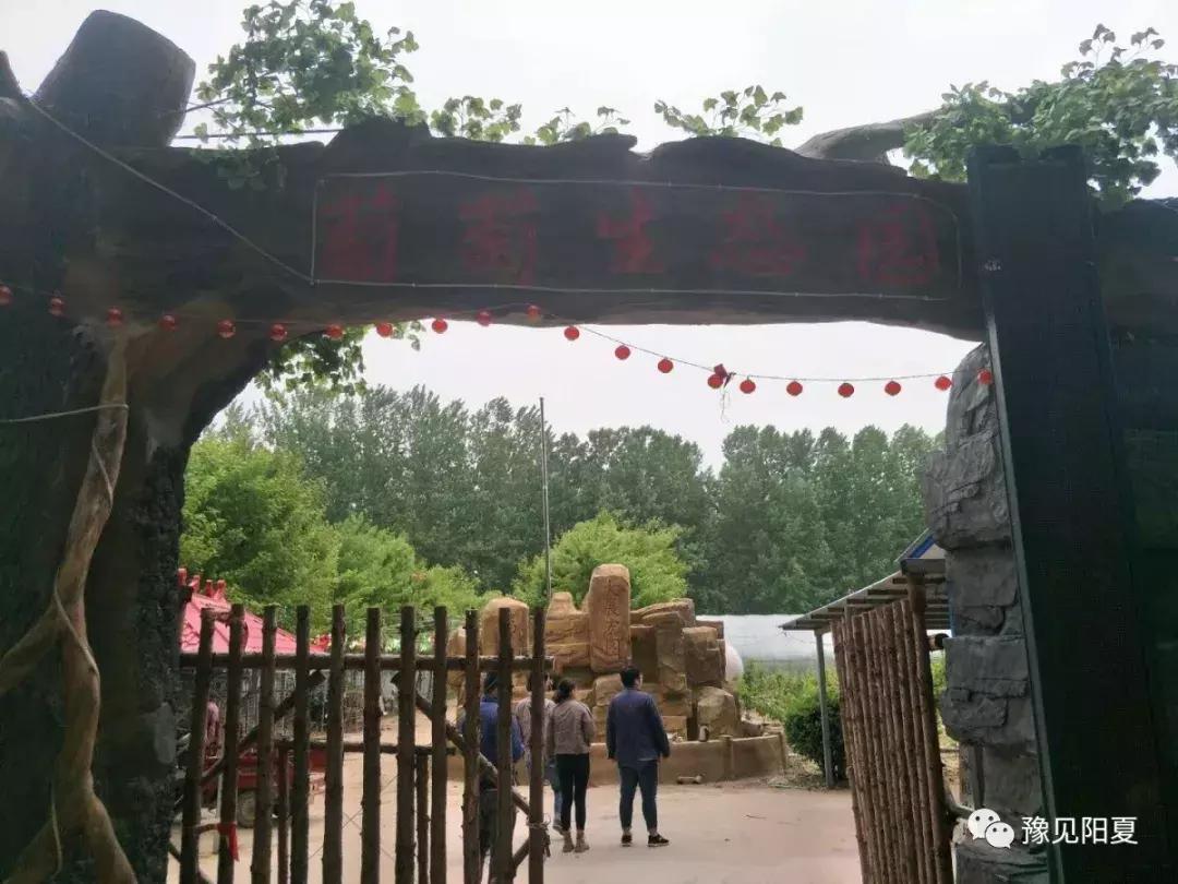 推进电子商务进乡村的工程,电子商务进农村工作推进方案