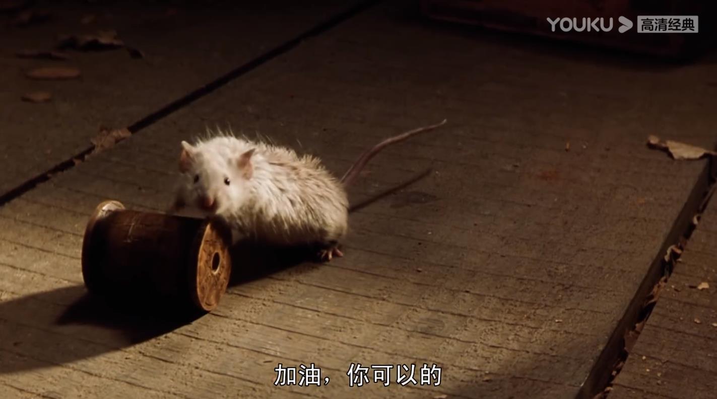 豆瓣8.8错失奥斯卡：他被控诉杀害两名小女孩，真相却剖开人性