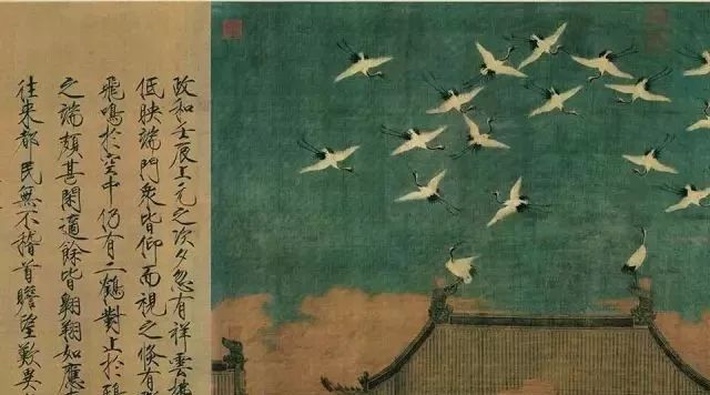 丹顶鹤的忠贞,丹顶鹤浪漫忠贞