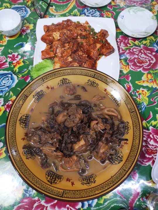 哈尔滨海拉尔呼伦贝尔旅游游记,哈尔滨漠河满洲里旅游攻略