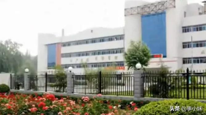 再见了石家庄完整视频,再见了石家庄简单版