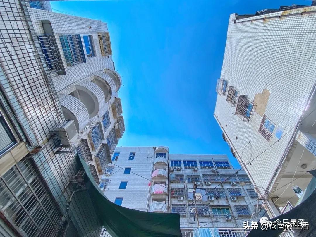 住在灵溪什么感觉,灵溪住顶楼什么体验