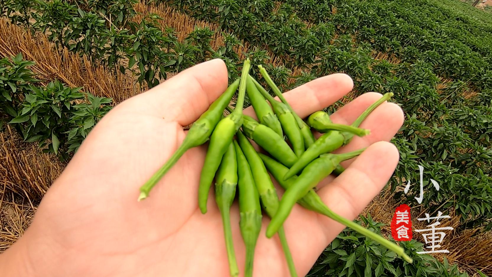 濮阳人喜欢吃的家常菜,南方人喜欢的下饭美食