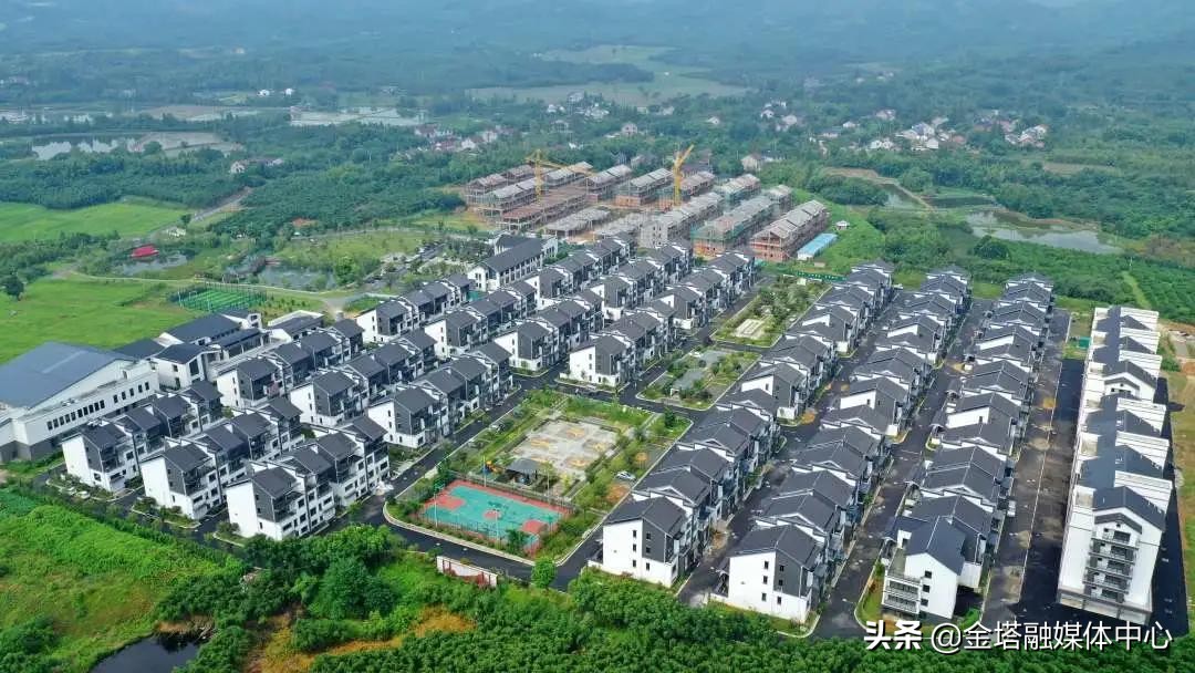 湖州德清将迎一座大型公园,浙江湖州昔日荒山变金山