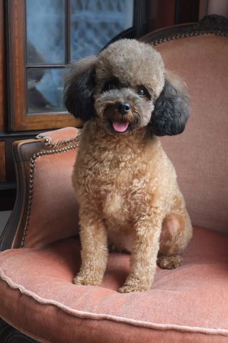 还买乌云壁纸呐?!他家藏着海外小众壁纸大全