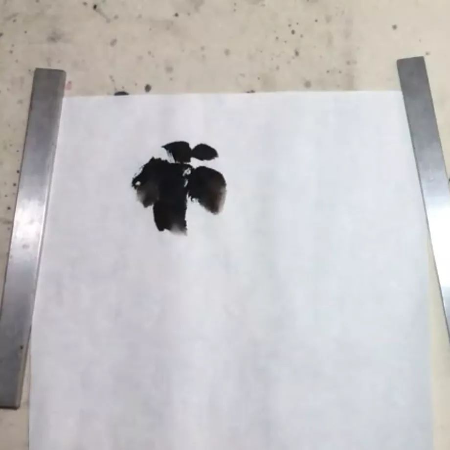 写意菊花画法图片,菊花国画写意画法视频