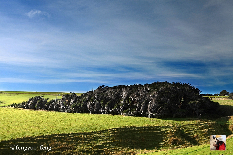 新西兰有哪些景观,新西兰风景最好的地方在哪里