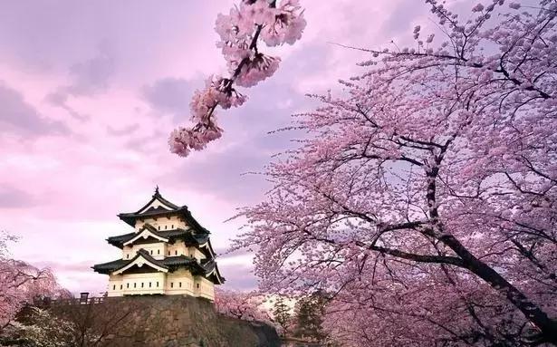 12月旅游日本冲绳最全攻略,春回大地旅游攻略