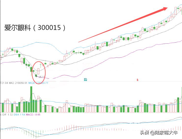 布林线叠加5日均线战法,5日均线买入股票实例