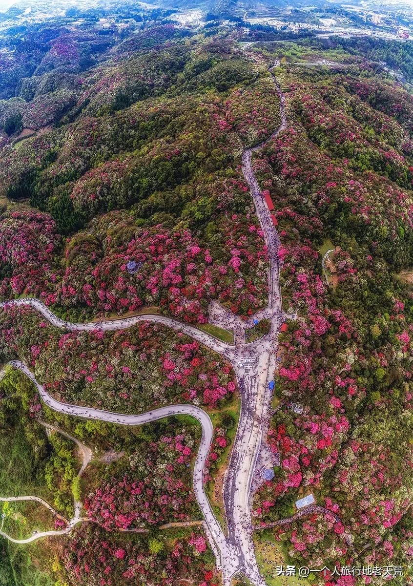 清明旅游一日游攻略,清明旅游三日游攻略