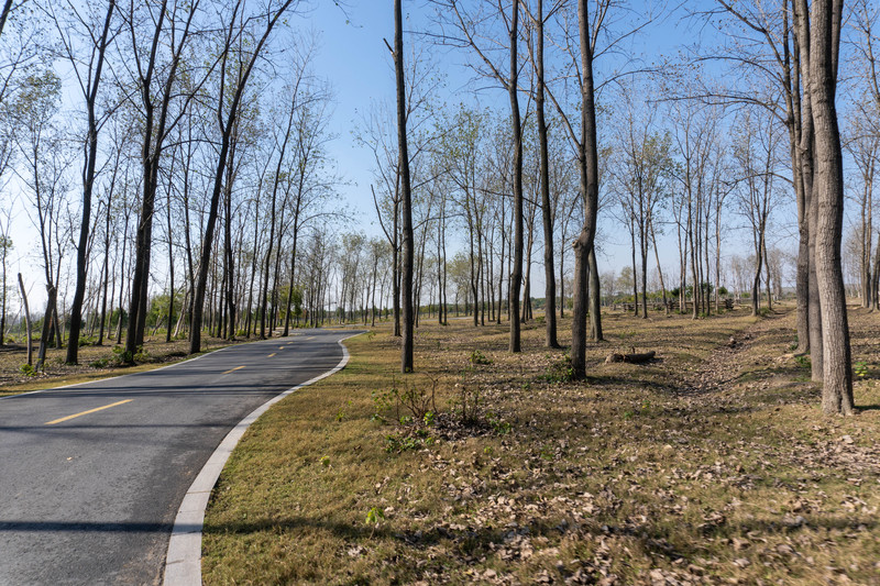 森林麋鹿公园,森林麋鹿