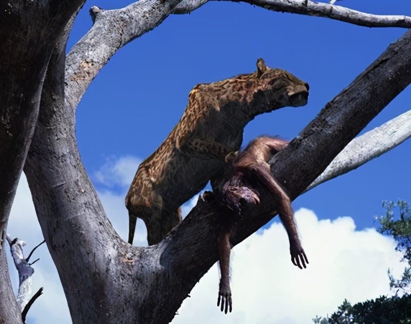 史前恐猫有多强,史前恐猫有多强大