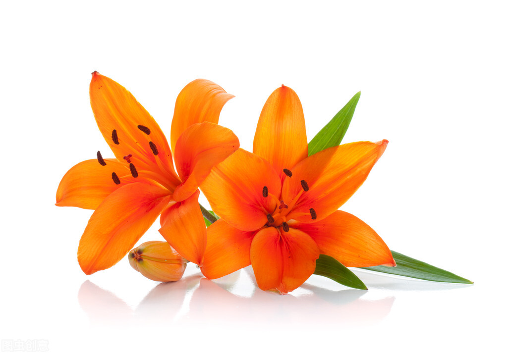 同样只活在自己的世界里，熊磊、丁红、素老三，人生如此不同