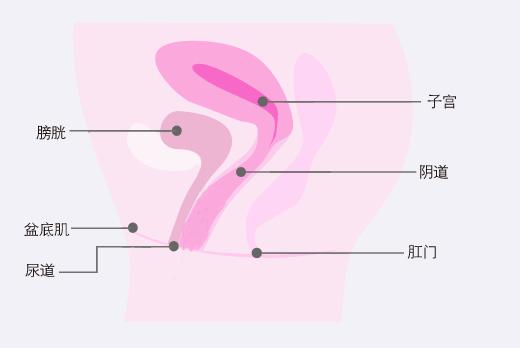 产后妈妈切忌卧床,产后妈妈们应该避免什么