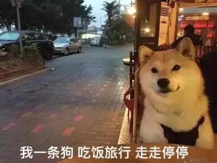 湖南健身教练增肌,长沙健身教练的真实现状