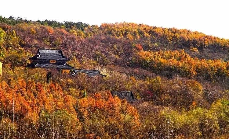 盱眙铁山寺:飘渺林雾入画境