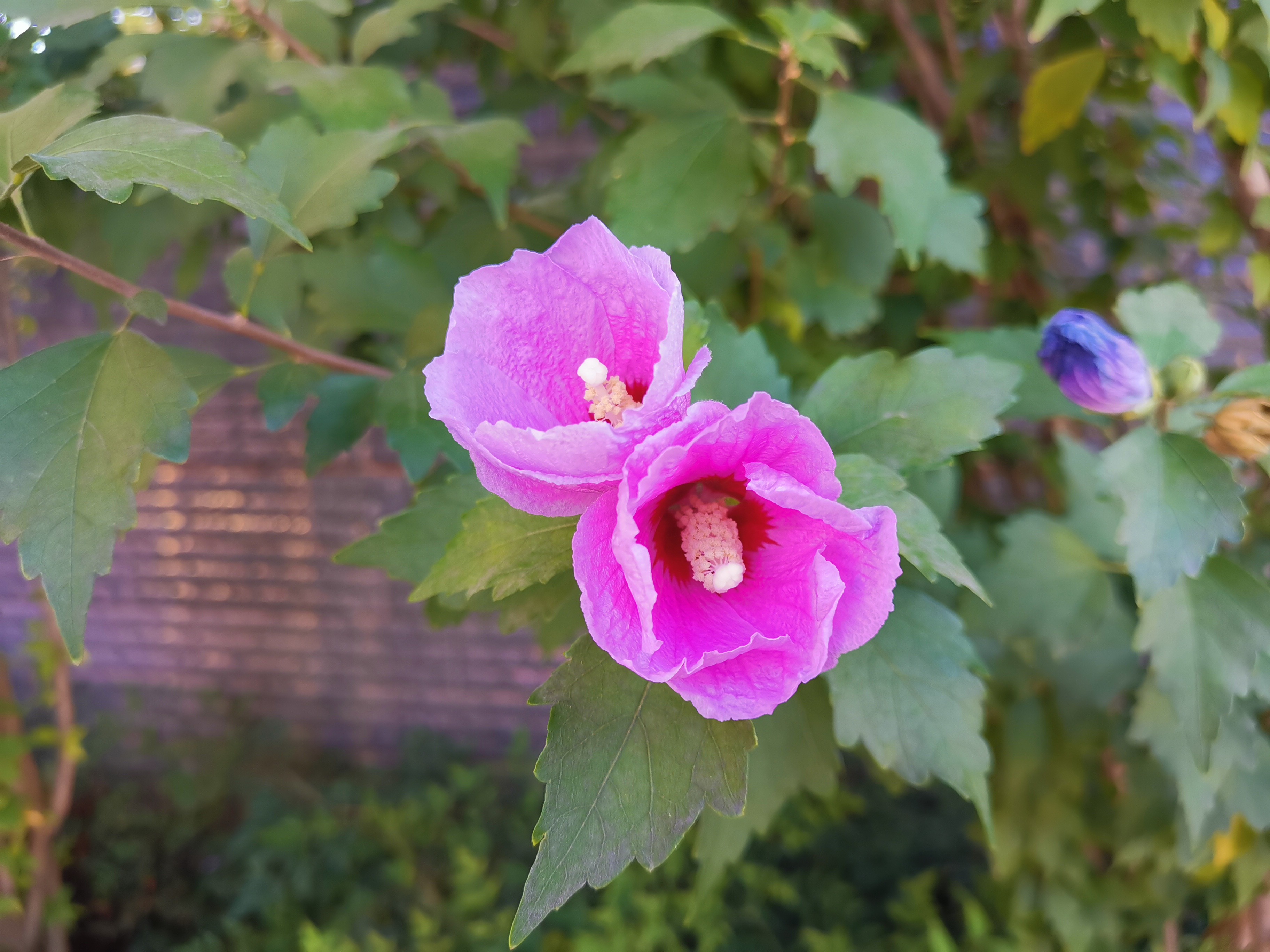 会泽县东陆高级中学校毕业典礼,会泽县东陆高级中学校初中学费