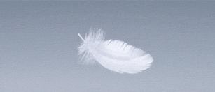 虹桥家博会2021,三月份上海虹桥家博会