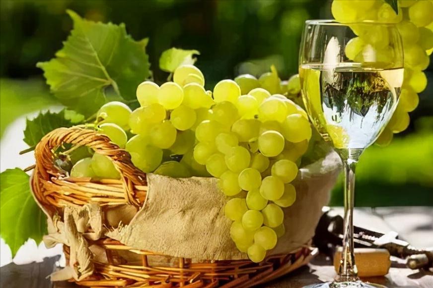 红酒入门如何挑选葡萄酒,红酒怎么选购的技巧图解视频