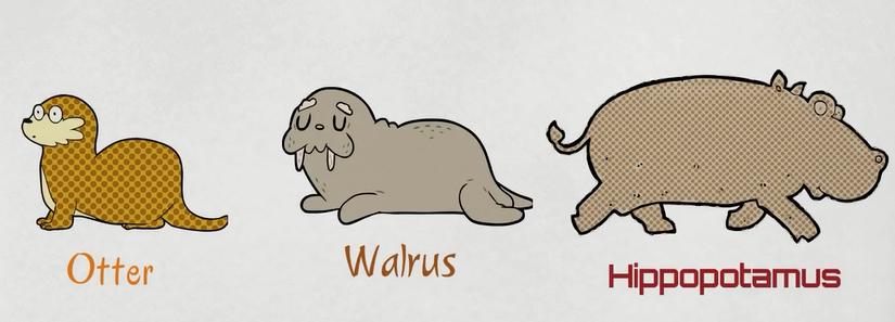 描述动物特征的英文词汇,动物英文词汇1000词