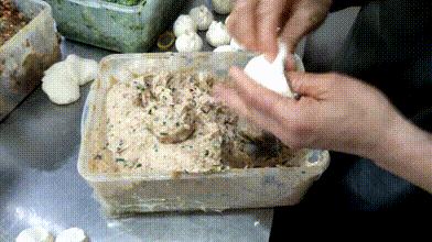 大学食堂难吃？这组图片将颠覆你的认知！