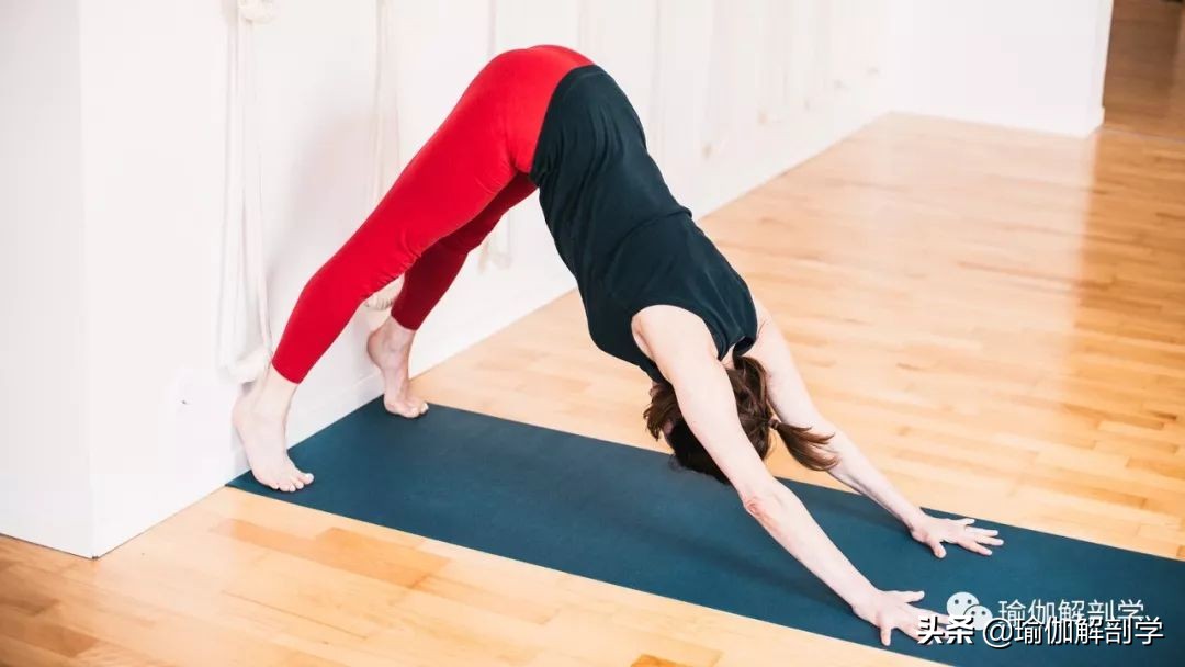 瑜伽下犬式脚迈不到前面怎么办,瑜伽下犬式臀部抬不起来怎么办