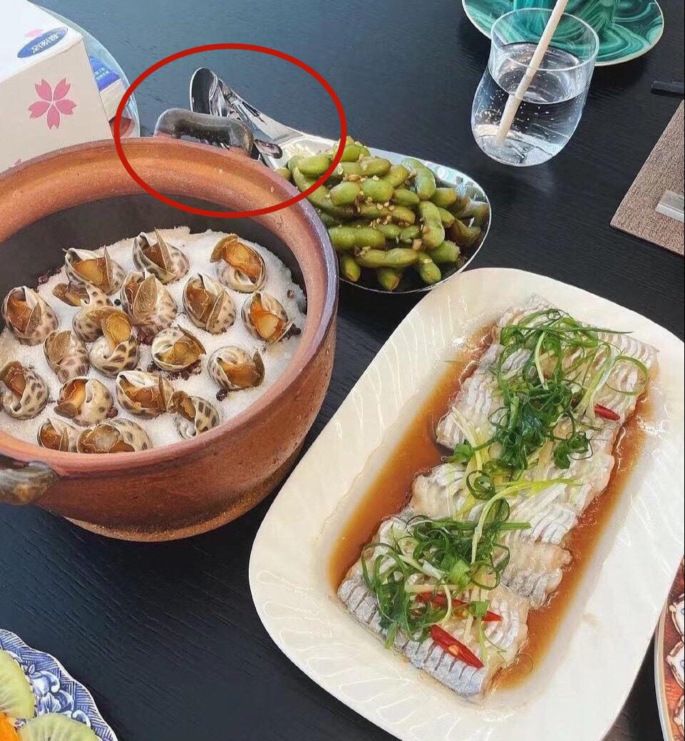 董花花穿粉色半身长裙照片,落魄的阔太太