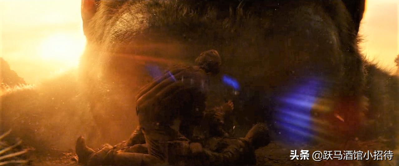 金刚大战哥斯拉怪兽电影解析,金刚哥斯拉大战怪兽