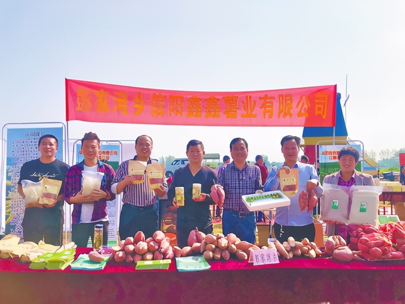 信阳彭家湾帮扶园,乡镇党建促脱贫攻坚工作思路