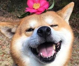 撰写有吸引力的微信软文,微信软文怎么发更吸引人