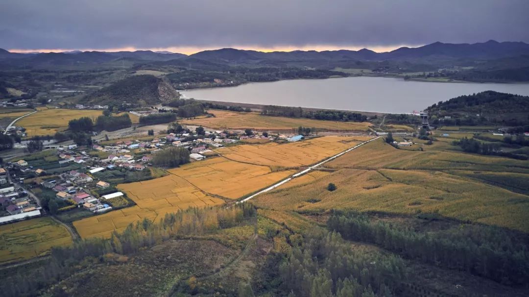 钻石界高管为前世的小情人去种地，从米开始吧