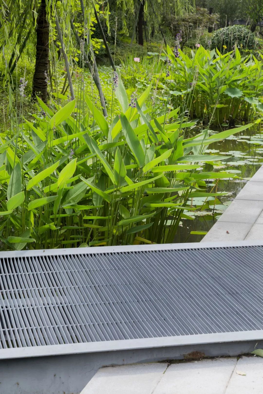 杭州地铁绿城杨柳郡电话,杭州拱墅区绿城运河地铁