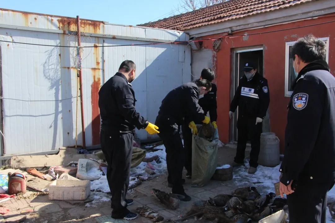 打击野生动物资源违法吗,野生动物资源犯罪专项行动