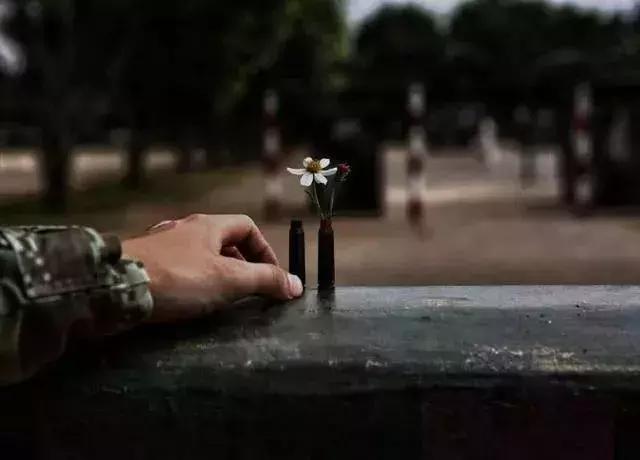 太神奇！我用这三招就化解了和兵哥的所有矛盾