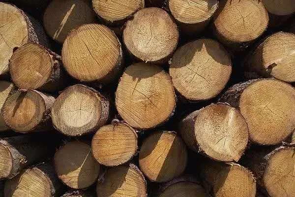 木材家具如何避免开裂的方法,实木家具开裂有几种修复方法