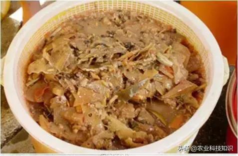 酵素制作,让厨余垃圾零废弃,秒变环保达人,内附制作方法