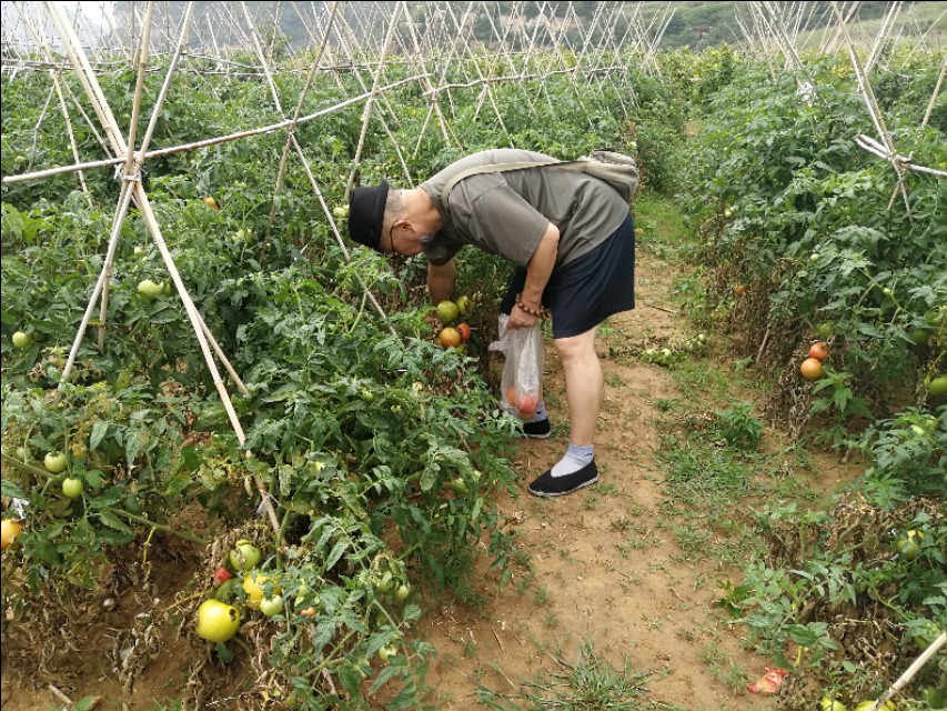 大可老师合集,大可老师讲座